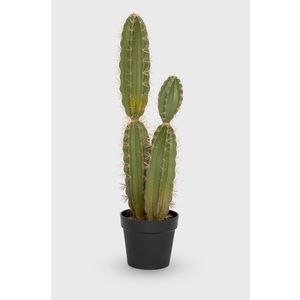 Medicine - Realisztikus kaktusz imitáció Basic kép