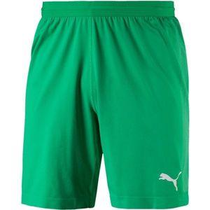 Puma FINAL evoKNIT GK Shorts Férfi kapus rövidnadrág, zöld, méret M kép