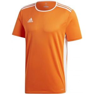 adidas ENTRADA 18 JSY Férfi futball mez, narancssárga, méret M kép