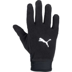 Puma teamLIGA 21 Winter gloves Kesztyű, fekete, méret M kép