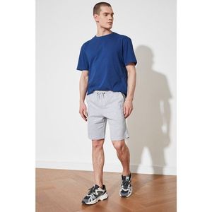 Trendyol Gray Men's Regular Fit Shorts & Bermuda kép