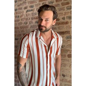 Trendyol White Men's Regular Fit Flannel Collar Short Sleeve Vertical Striped Shirt kép