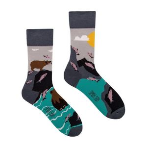 Socks Spox Sox Colorful Casual kép