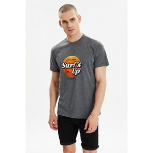Trendyol Anthracite Men's Regular Fit Short Sleeve Printed T-Shirt kép