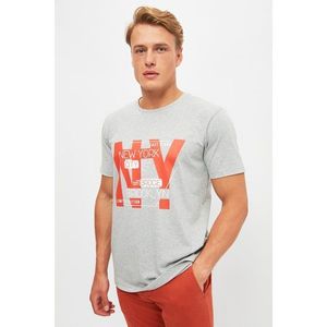 Trendyol Gray Men's Regular Fit Crew Neck Short Sleeve Printed T-Shirt kép