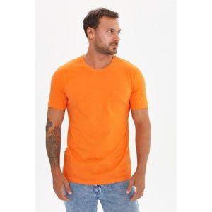 Trendyol Orange Men's Slim Fit Short Sleeve Printed T-Shirt kép