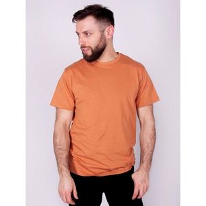 Yoclub Cotton T-Shirt Short Sleeve PM-012/TSH/MAN kép