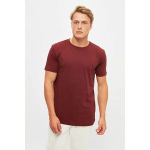 Trendyol Burgundy Men's Regular Fit Crew Neck Short Sleeve Printed T-Shirt kép