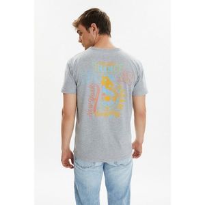 Trendyol Gray Men's Regular Fit Short Sleeve T-Shirt kép