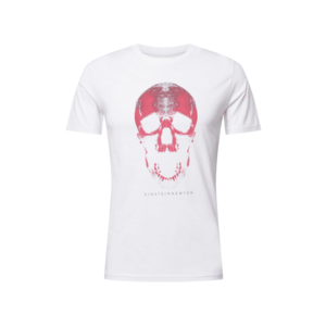 EINSTEIN & NEWTON Póló 'Skull' szürke / pitaja / fehér kép
