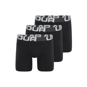 UNDER ARMOUR Sport alsónadrágok világosszürke / fekete kép