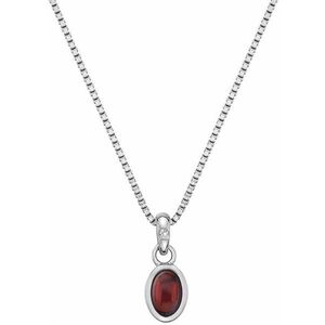 Hot Diamonds Hot Diamonds Ezüst nyaklánc januárban születettek számára Birthstone DP754 kép