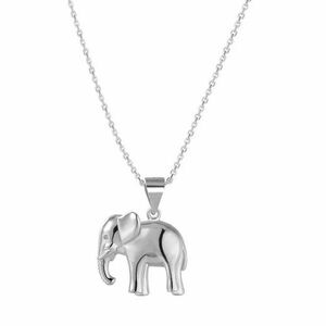 Beneto Beneto Ezüst nyaklánc elefánttal AGS1136/47 (lánc, medál) kép