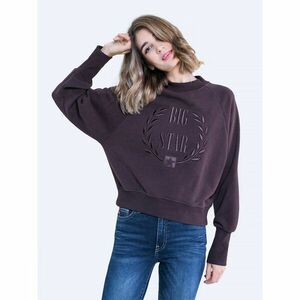 Big Star Woman's Sweatshirt Sweat 171489 Light brown Knitted-804 kép