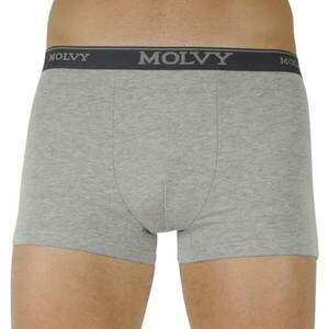 Men's boxers Molvy light gray (MP-969-BEU) kép