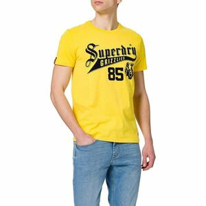 Superdry T-Shirt Collegiate Graphic Tee - Men kép