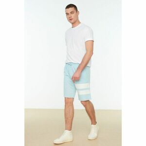 Trendyol Men's Blue Regular Fit Paneled Shorts & Bermuda kép