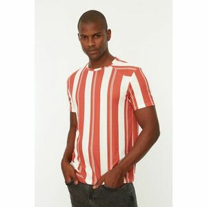 Trendyol Tile Men Regular Fit Crew Neck Short Sleeve Striped T-Shirt kép