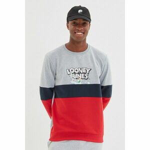 Trendyol Gray Men's Licensed Looney Tunes Printed Regular Fit Crew Neck Paneled Sweatshirt kép