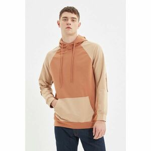 Trendyol Camel Men Regular Fit Long Sleeve Hooded Paneled Sweatshirt kép