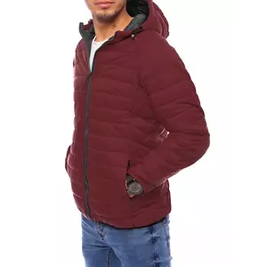 Men's quilted transitional jacket Dstreet TX4005 kép