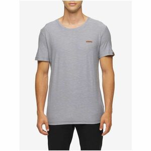 Grey Men's Annealed T-Shirt Ragwear Jachym - Men's kép