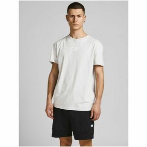 Light Grey T-Shirt with Jack & Jones Fix Print - Men kép