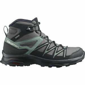 Salomon DAINTREE MID GTX Férfi túracipő, sötétszürke, méret 41 1/3 kép