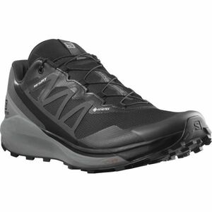 Salomon SENSE RIDE 4 INVISIBLE GTX Férfi trail cipő, fekete, méret 42 2/3 kép