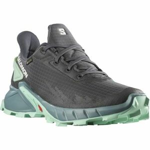 Salomon ALPHACROSS 4 GTX W Női terepfutó cipő, szürke, méret 40 2/3 kép