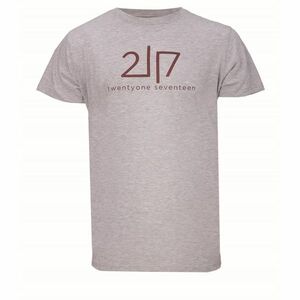 VIDA - men's cotton t-shirt with cr. sleeve - gray melange kép