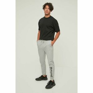 Trendyol Gray Men's Regular Fit Printed Sweatpants kép