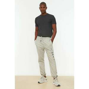 Trendyol Gray Men's Regular Fit Printed Sweatpants kép
