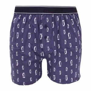 Men's shorts Andrie dark blue (PS 5580 C) kép