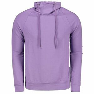 Trendyol Lilac Men Regular Fit Collar Long Sleeve Basic Sweatshirt kép