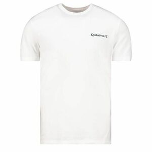 Men's t-shirt Quiksilver RESIN TINT kép