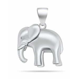 Brilio Silver Brilio Silver Bájos ezüst szerencsét hozó elefánt medál PT73W kép