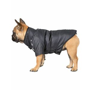 Stílusos ruha Trespass kutyának kép