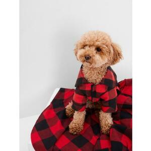 kockás pizsama kutyának kép