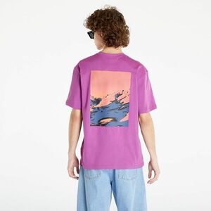 The North Face Graphic T-Shirt 3 Purple Cactus Flower kép