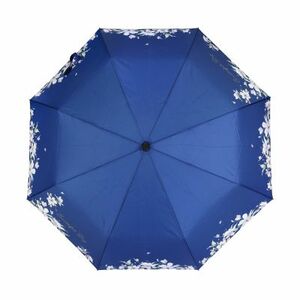 Albi Albi Női összecsukható esernyő 21672 kép