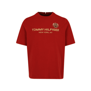 Tommy Hilfiger Big & Tall Póló sötétkék / arany / piros / fehér kép