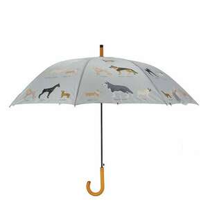 Kutyás esernyő kép