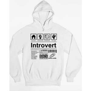 Introvert pulóver - egyedi mintás, 4 színben, 5 méretben kép