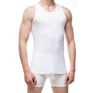 Férfi testhezálló póló 213 Authentic white kép