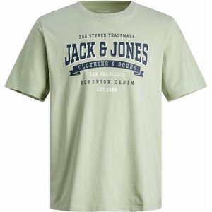 Jack&Jones Jack&Jones Férfi póló JJELOGO Standard Fit 12246690 Desert Sage XL kép