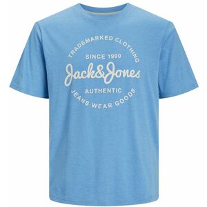 Jack&Jones Jack&Jones Férfi póló JJFOREST Standard Fit 12247972 Pacific Coast XXL kép