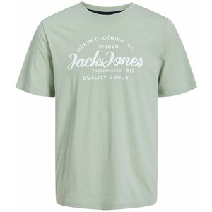 Jack&Jones Jack&Jones Férfi póló JJFOREST Standard Fit 12247972 Desert Sage XXL kép