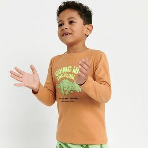 Sinsay - Hosszú ujjú póló mintával - Narancs kép