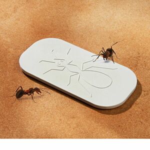 Anti-ant tábla kép